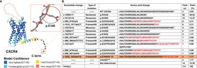 Case Report: A Novel CXCR4 Mutation in a Chinese Child With Kawasaki Disease Causing WHIM Syndrome